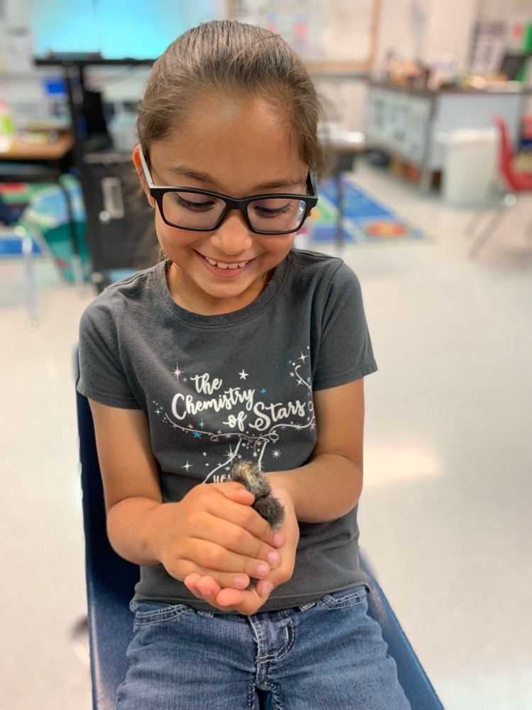 This morning 2nd graders were surprised to see that 2 of our chicken eggs hatched, and a 3rd egg will soon.